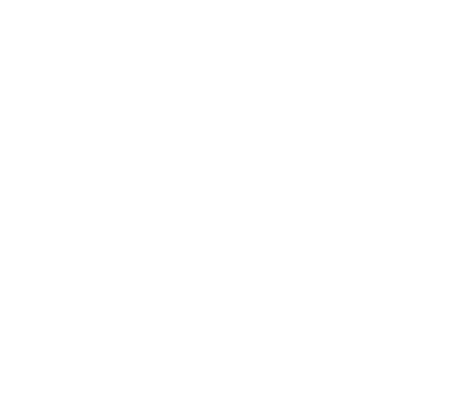 bnr_half_simulation_cover